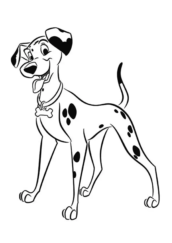 Pongo-6