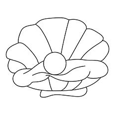 seashell coloring pages