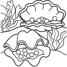 coloring pages sea shells