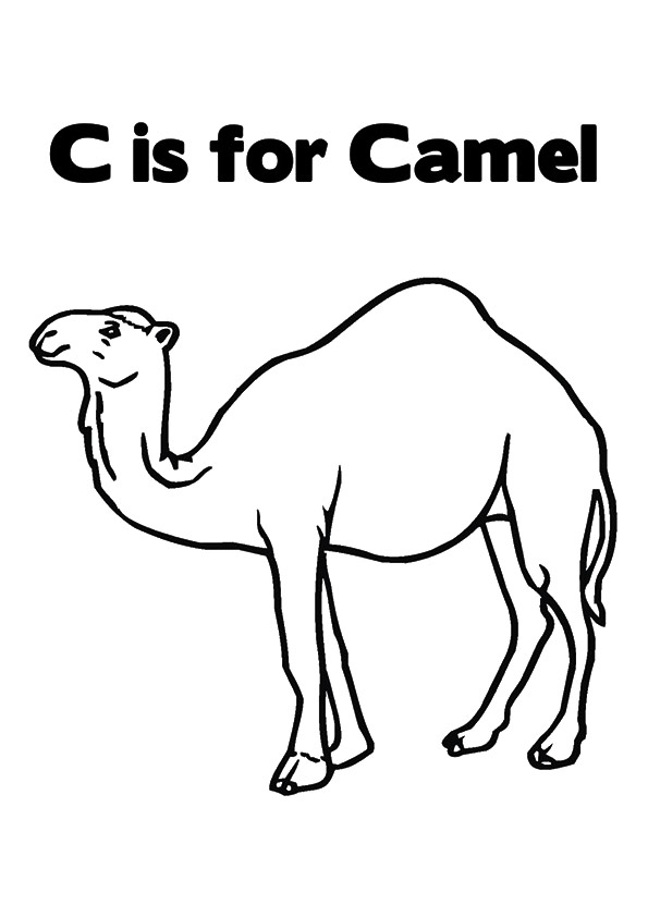 The-%E2%80%98C%E2%80%99-For-Camel