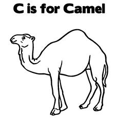 camel face coloring page