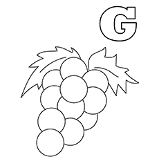 The-‘g’-for-grapes-16