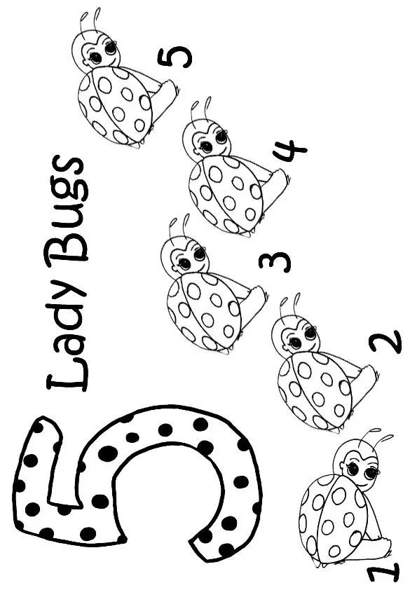 The-5-Ladybugs