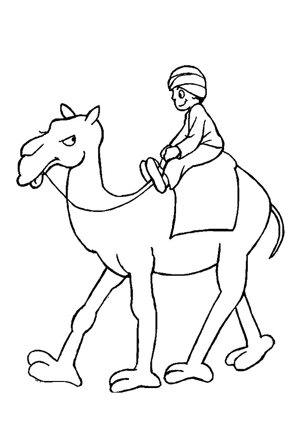 The-Arabic-Man-Riding-Camel