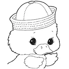Coloring Pages of Baby Duck
