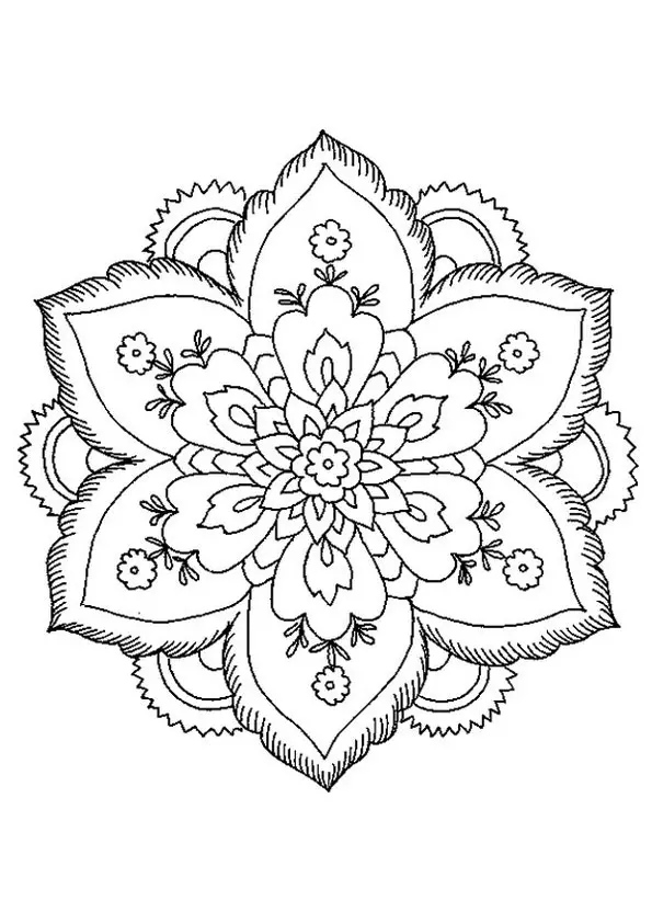 The-Beautiful-Flower-color