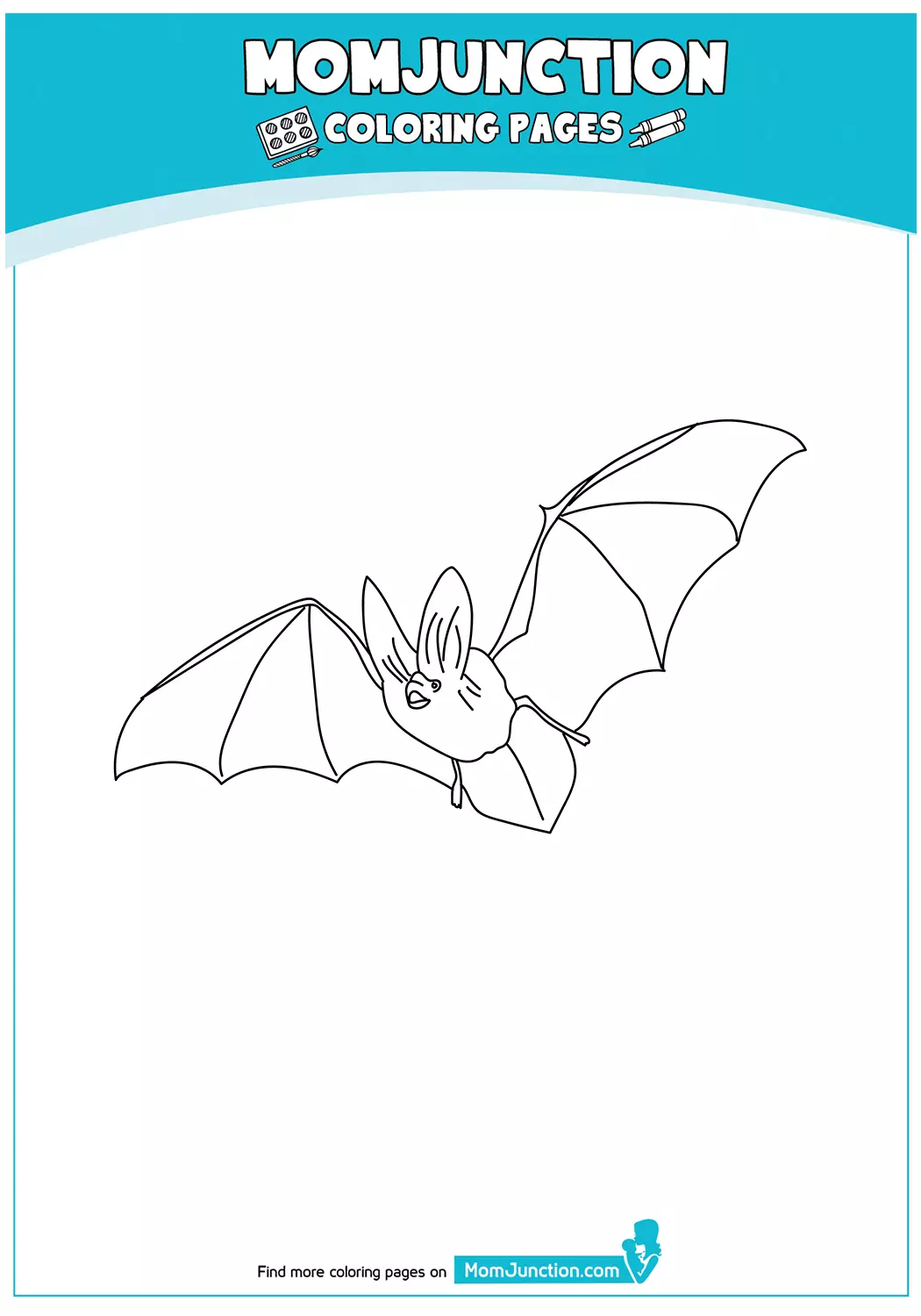 The-Big-Eared-Bat1-17