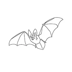 Big Eared Bat Coloring Pages_image