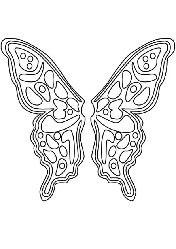 The-Butterfly-Pattern