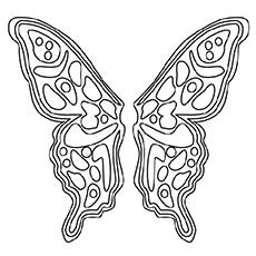 The-Butterfly-Pattern