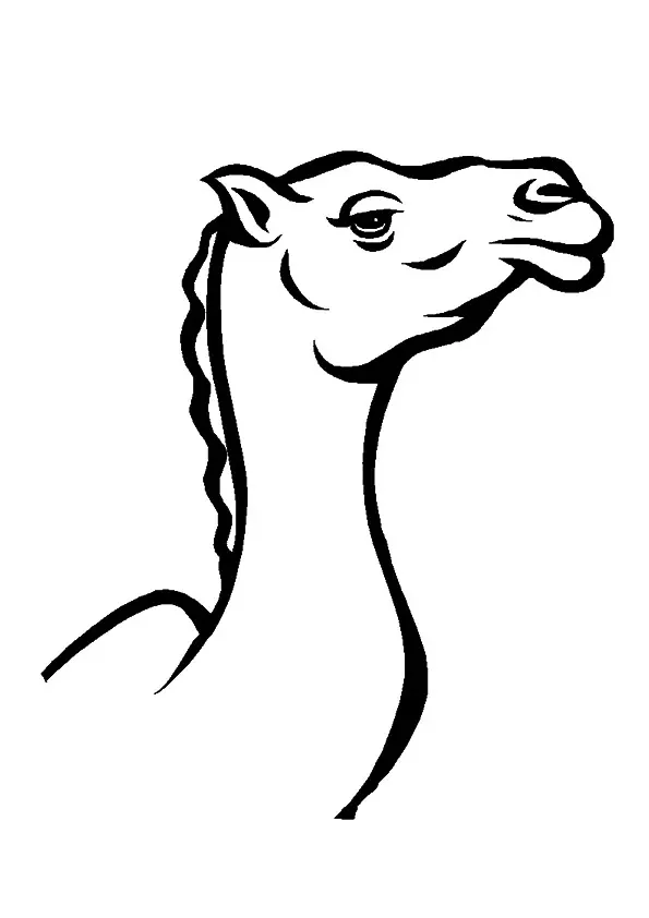 The-Camel-Icon