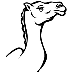 Camel Icon coloring page