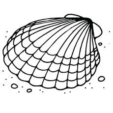 clam coloring pages