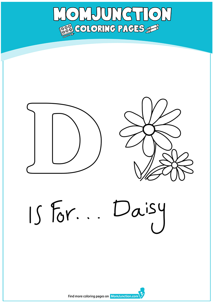 The-Daisy-16