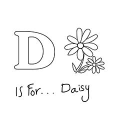 The Daisy