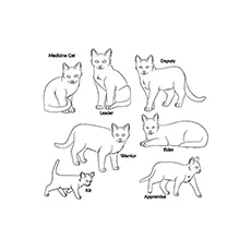 Different types of warrior cats coloring page