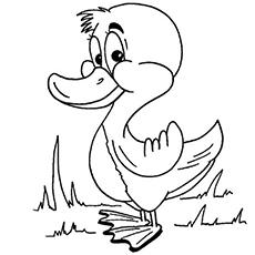 cute duck coloring pages