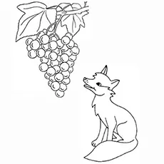 The-Fox-And-The-Grapes