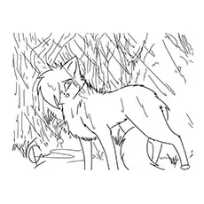 The fringed warrior cat coloring page