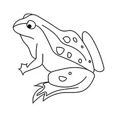 Frog coloring page