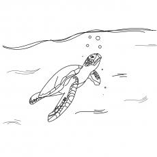 Top 10 Free Printable Cute Sea Turtle Coloring Pages Online