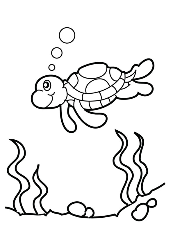 The-Happy-Go-Lucky-Sea-Turtle