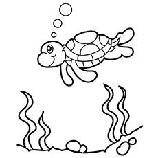 baby sea turtles coloring pages