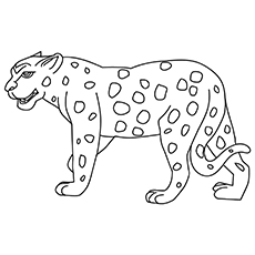 Wild Jaguar Tiger coloring page