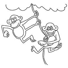 Jungle Monkey coloring page