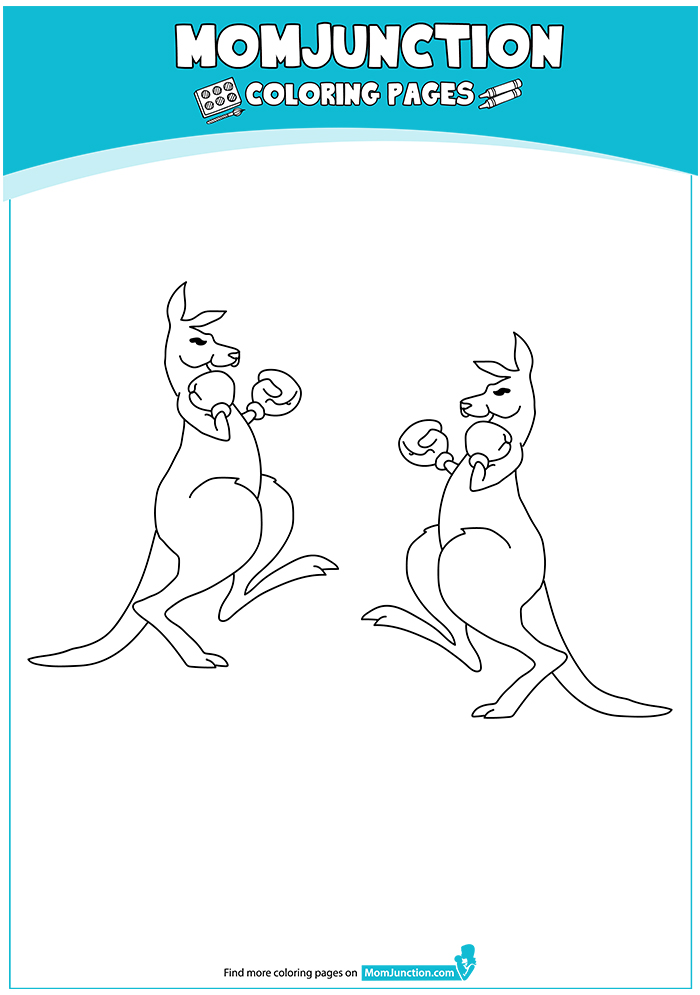 The-Kangaroo-With-Boxing-Gloves-16