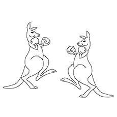 Kangaroo with boxing gloves coloring page