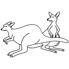 Ballet position kangaroo coloring page