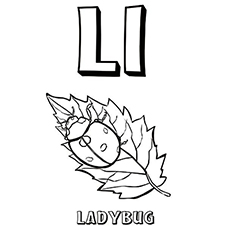 The-Lady-Bug-On-Leaf