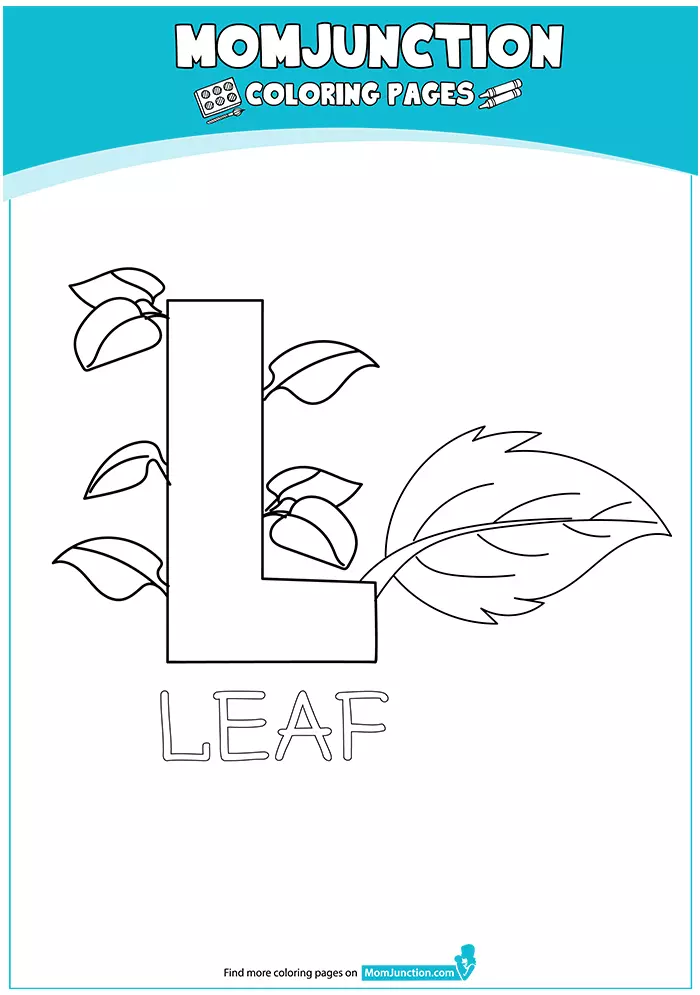 The-Leaf-16