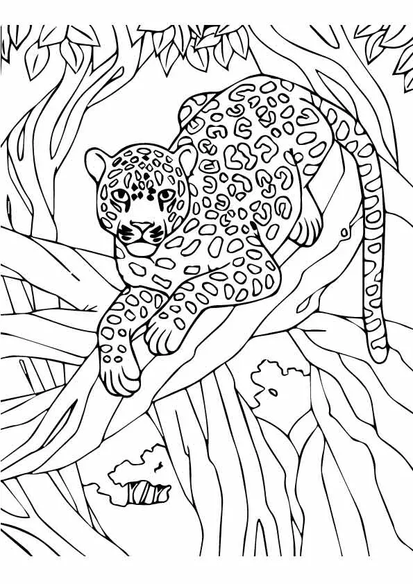 The-Leopard-on-tree