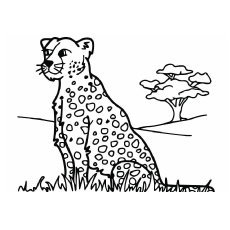 The Leopard coloring page