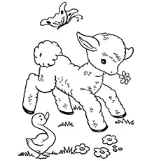 Little sheep coloring page_image