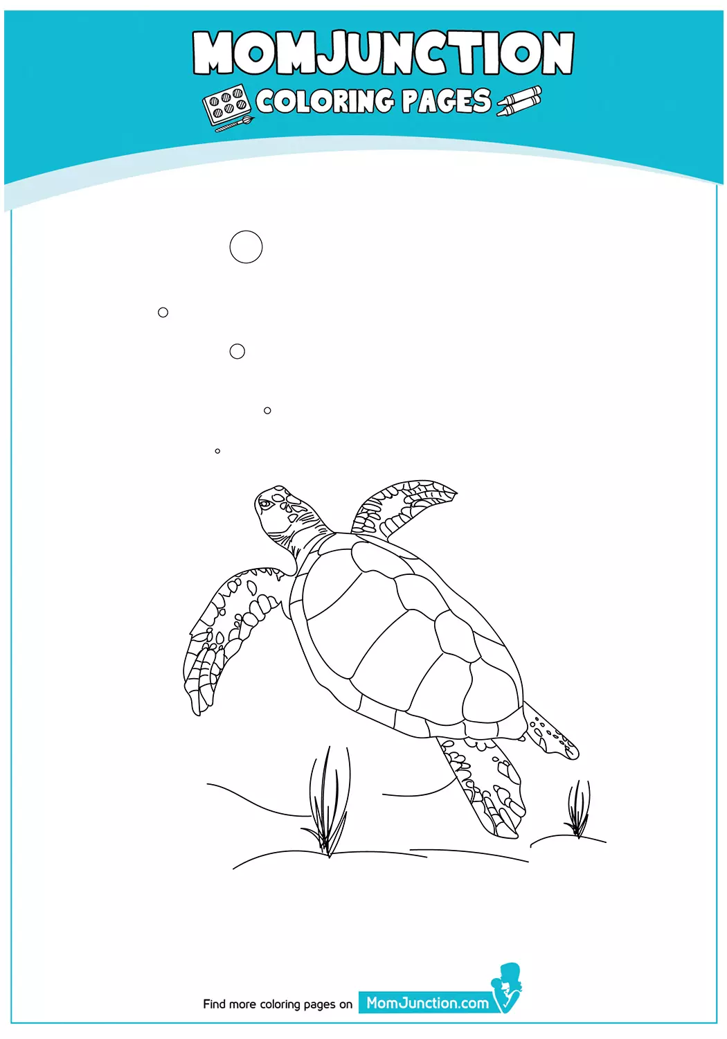 The-Loggerhead-Turtle-Color-17