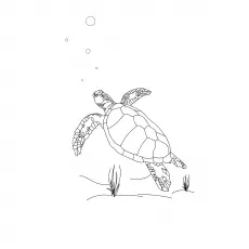 The Loggerhead Turtle Color_image