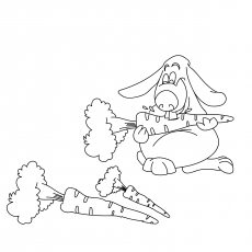 The Lop Rabbit With Carrot
