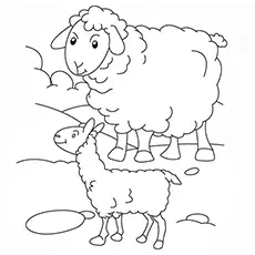 Mamma and baby sheep coloring page_image