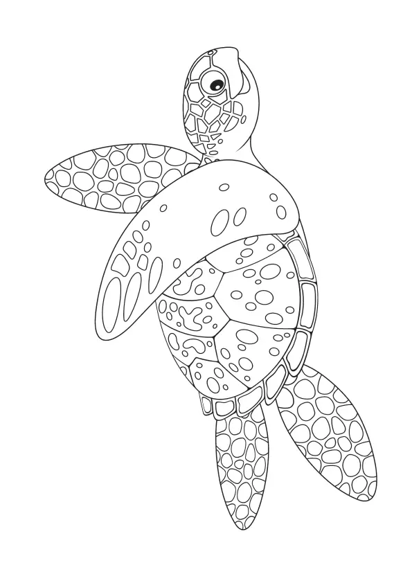 The-Marine-turtle