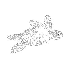 free printable sea turtle coloring pages