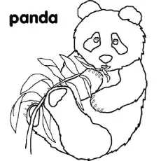 Mummy And Baby Panda coloring page