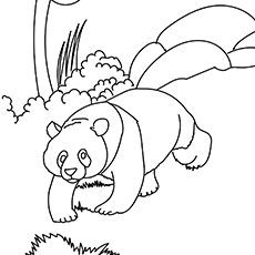 The Panda Reaching Out Coloring page