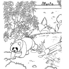 Panda Bear Reaching Out coloring page