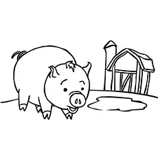 Coloring Pages of the Pig