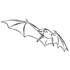 Red Fruit Bat Coloring Pages_image