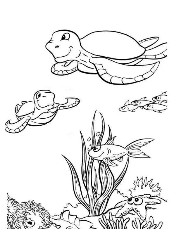 The-Sea-Turtles-With-Fishes