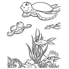 Top 10 Free Printable Cute Sea Turtle Coloring Pages Online